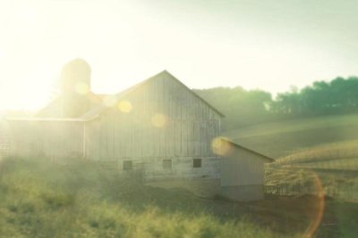 Sue Schlabach - Farm Morning II