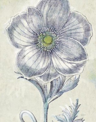 Sue Schlabach - Belle Fleur II