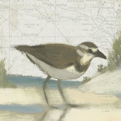 James Wiens - Beach Bird III