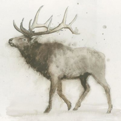 James Wiens - Elk v.2