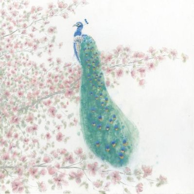 James Wiens - Spring Peacock II