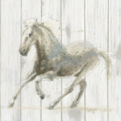 James Wiens - Stallion II on Birch