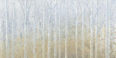 James Wiens - Silver Waters No River