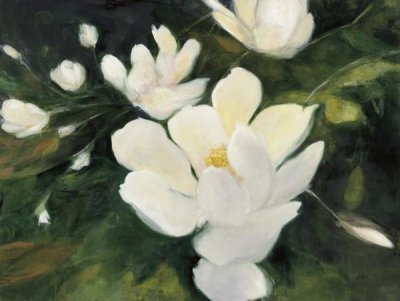 Julia Purinton - Magnolia Blooms