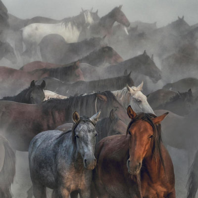 Huseyin Taskin - Two Horses