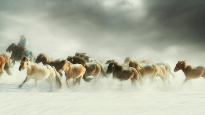 Shu-Guang Yang - Horses Gallop