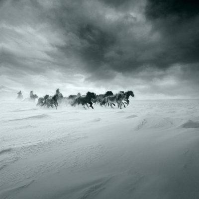 Shu-Guang Yang - Snowy Field