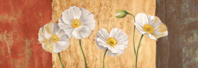 Jenny Thomlinson - Poppies on Smooth Background