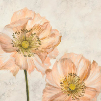 Luca Villa - Poppies in Pink I