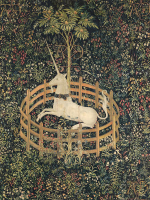 Anonymous - Unicorn in Captivity