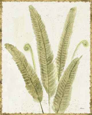 Albena Hristova - Forest Ferns II v2 Antique