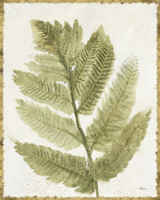 Albena Hristova - Forest Ferns I Antique