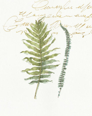 Lisa Audit - My Greenhouse Fern I