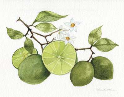 Kathleen Parr McKenna - Citrus Garden VII