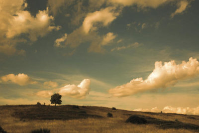 Aledanda - What Beautiful Clouds