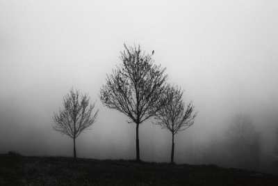 Aledanda - In the Fog