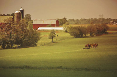 Aledanda - Fall Farm