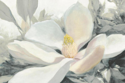 Julia Purinton - Majestic Magnolia Green Gray Crop