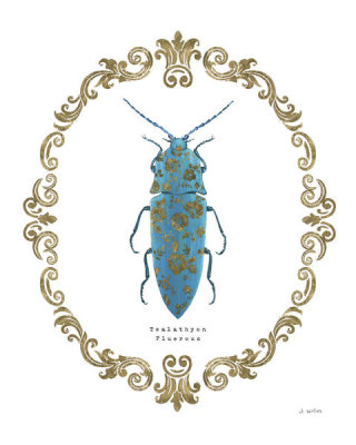 James Wiens - Adorning Coleoptera VIII