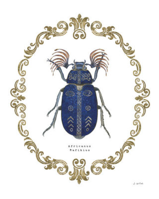 James Wiens - Adorning Coleoptera III