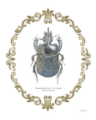 James Wiens - Adorning Coleoptera IV