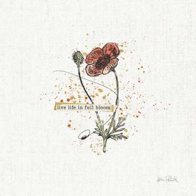 Katie Pertiet - Thoughtful Blooms IV