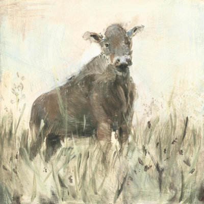 Sue Schlabach - The Grazer Neutral