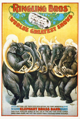 Hollywood Photo Archive - Ringling Bros - World's Greatest Shows - The Funny, Wonderful Elephant Brass Band - 1899