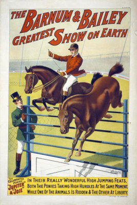 Hollywood Photo Archive - The Barnum & Bailey Greatest Show On Earth--The Celebrated Ponies Jupite & Joie