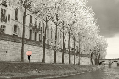 Sue Schlabach - Paris in the Rain III