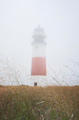 Laura Marshall - Sankaty Head in the Fog