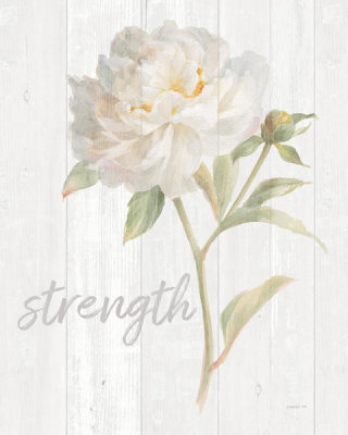 Danhui Nai - Garden Peony on Wood Strength