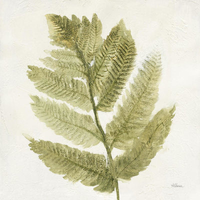 Albena Hristova - Forest Ferns I