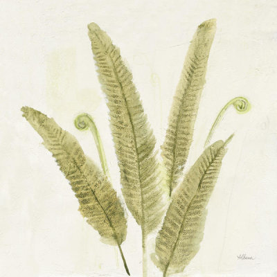 Albena Hristova - Forest Ferns II v2