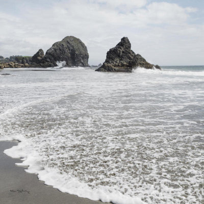 Harris Beach Oregon Crop