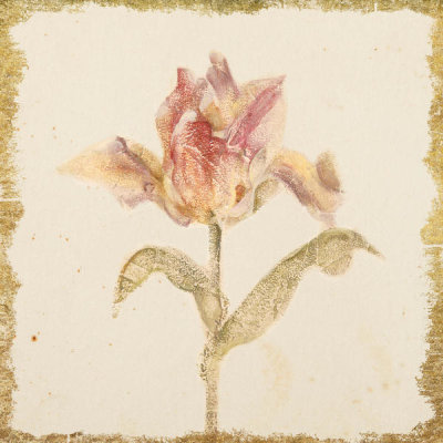 Cheri Blum - Vintage Zoomer Schoon Tulip Crop