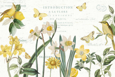 Katie Pertiet - Citron Curiosities I