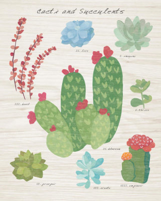 Wild Apple Portfolio - Succulent and Cacti Chart IV on Wood