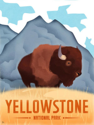 Martin Wickstrom - Yellowston National Park - Bison