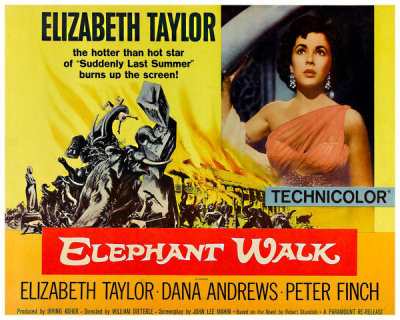 Hollywood Photo Archive - Elephant Walk - Elizabeth Taylor