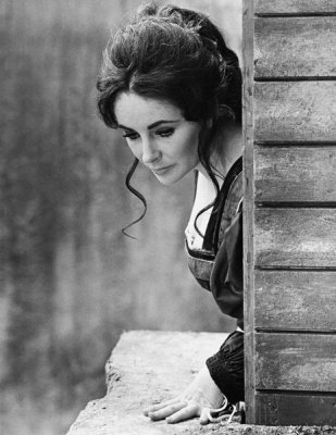 Hollywood Photo Archive - Elizabeth Taylor