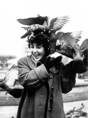 Hollywood Photo Archive - Elizabeth Taylor with pigeons
