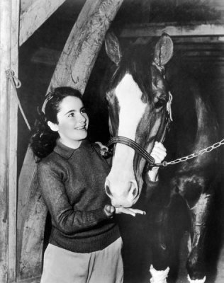 Hollywood Photo Archive - National Velvet - Elizabeth Taylor