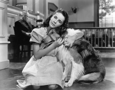 Hollywood Photo Archive - Elizabeth Taylor wih Lassie