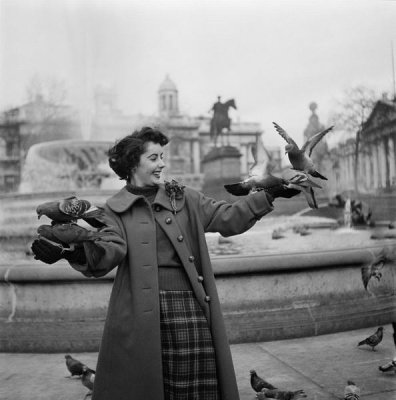 Hollywood Photo Archive - Elizabeth Taylor with pigeons