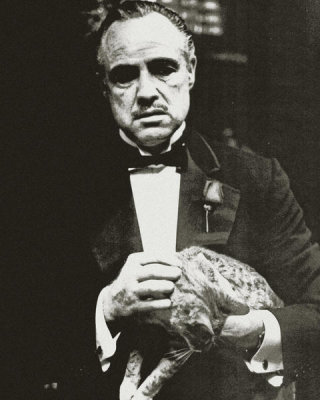 Hollywood Photo Archive - Marlon Brando - The Godfather