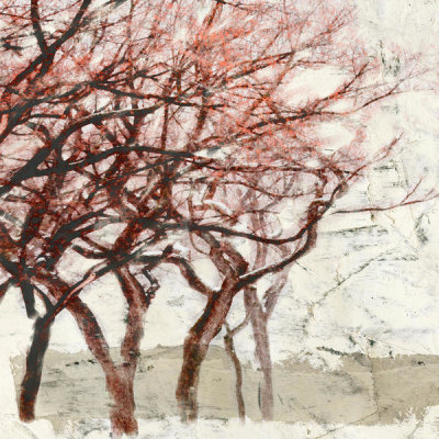 Alessio Aprile - Rusty Trees I