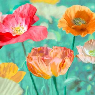 Cynthia Ann - Poppies in Bloom II