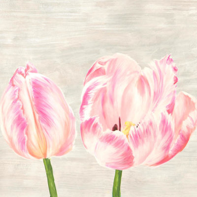 Jenny Thomlinson - Classic Tulips I