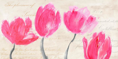 Muriel Phelipau - Classic Tulips